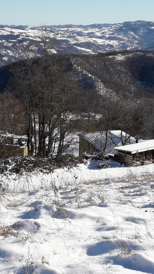 La Tana Del Picchio Villa Neviano degli Arduini Exterior foto