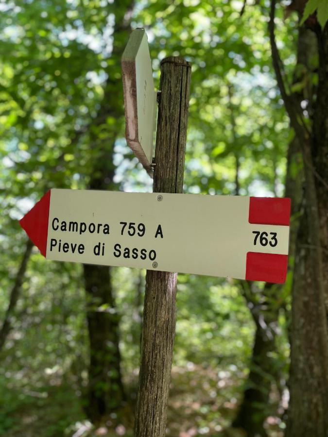 La Tana Del Picchio Villa Neviano degli Arduini Exterior foto