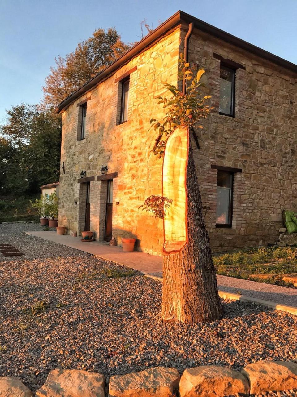 La Tana Del Picchio Villa Neviano degli Arduini Exterior foto