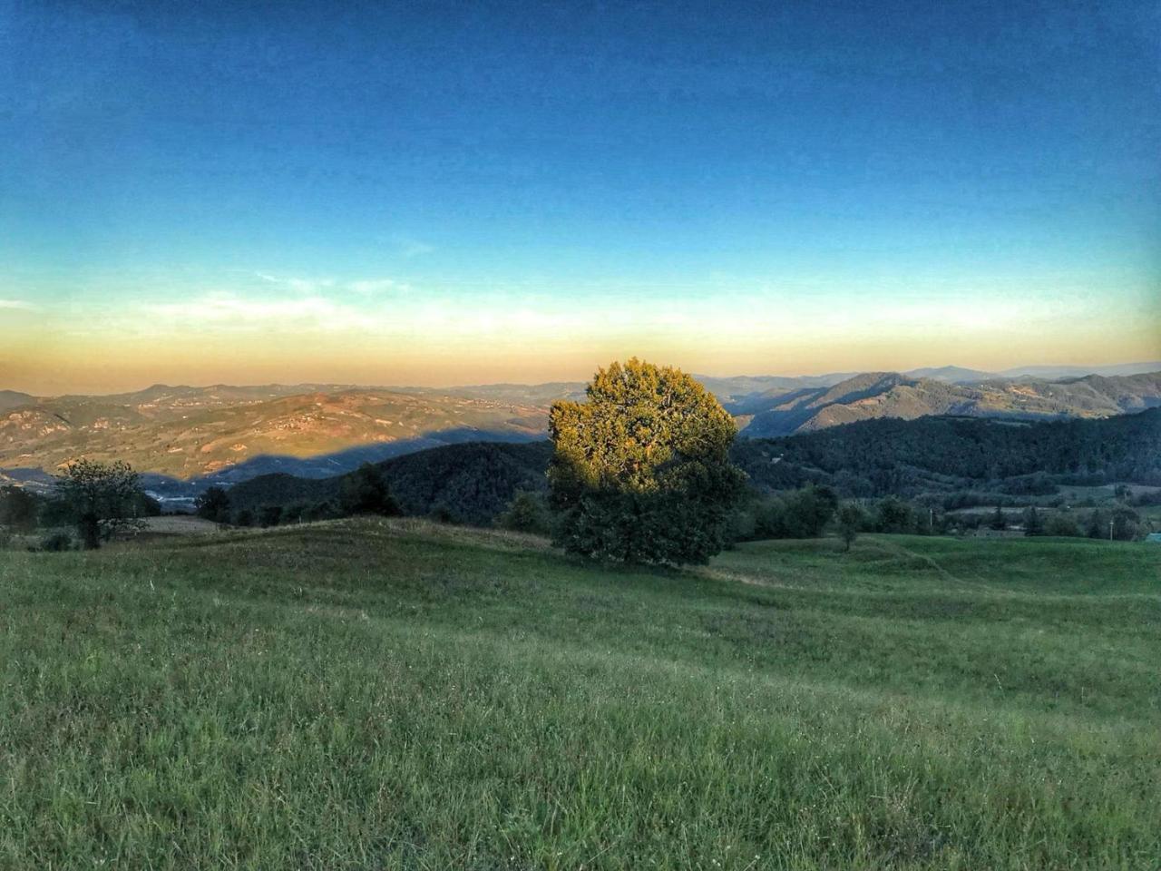 La Tana Del Picchio Villa Neviano degli Arduini Exterior foto